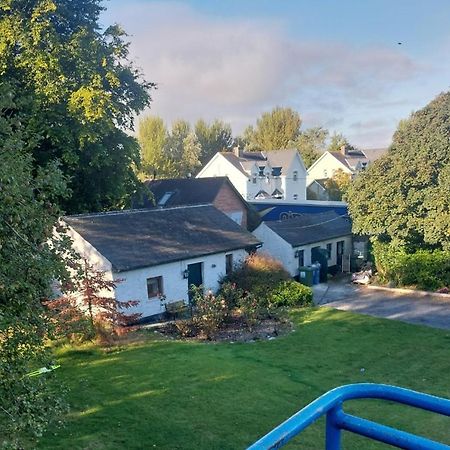 Cosy 2 Bed Cottage Next To Fota Wildlife Park コーク エクステリア 写真