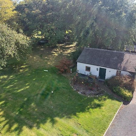 Cosy 2 Bed Cottage Next To Fota Wildlife Park コーク エクステリア 写真
